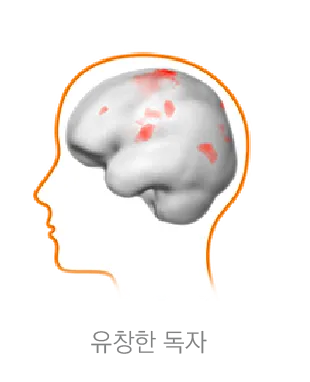 유창한 독자의 두뇌