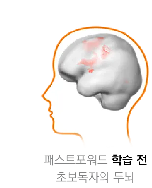 학습 전 두뇌