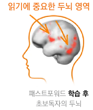 8주 학습 후 두뇌